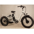 Cheap Electric Fat Tire Tricycle for Adults with 48V 12ah Lithium Battery for Sale